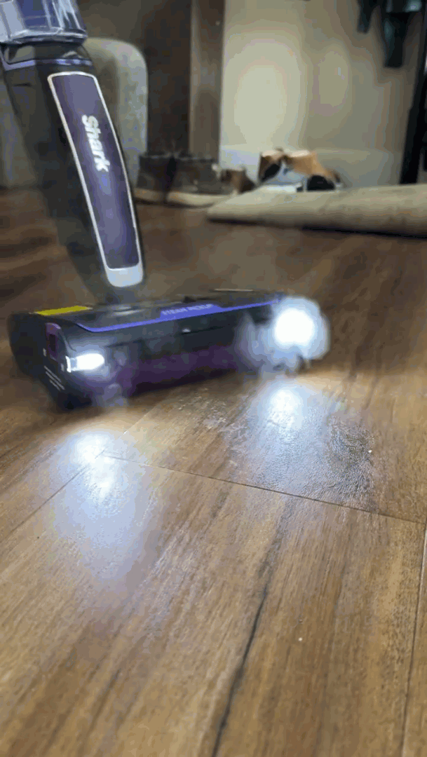 Shark Wellness : Steam Pickup 3 en 1 (Guide offert inclu)